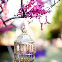 thepartypressblog.com